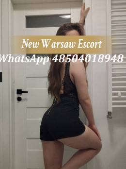 Escort in Warsaw - Paula New Warsaw Escort